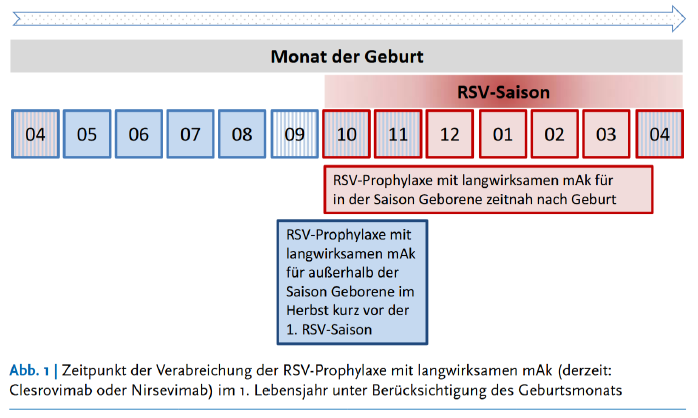 Tabelle: Schema zur Prophylaxe von RSV-Erkrankungen mit Nirsevimab bei Neugeborenen und Säuglingen in ihrer 1. RSV-Saison/ RKI
